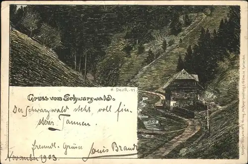 Daur Hermann Nr. 5 Schwarzwald Litho  Kat. Kuenstlerkarte