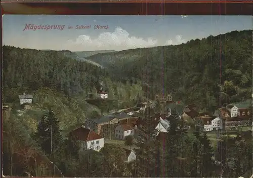 Maegdesprung Panorama Kat. Harzgerode