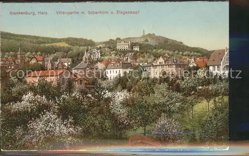 Blankenburg Harz Villenpartie mit Silberhorn u.Ziegenkopf Kat. Blankenburg