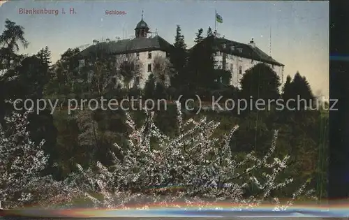 Blankenburg Harz Schloss Kat. Blankenburg