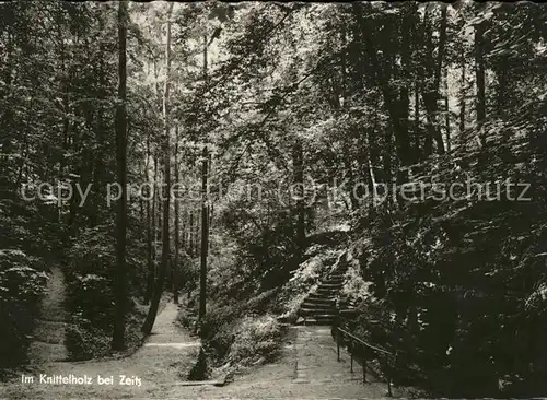 Zeitz Elster Im Knittelholz Wald Kat. Zeitz