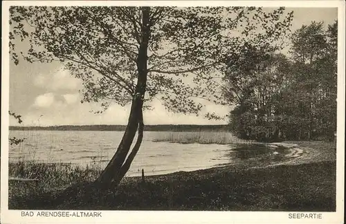 Arendsee Altmark Seepartie Kat. Arendsee