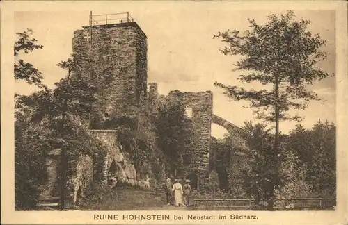 Neustadt Harz Ruine Hohnstein Kat. Neustadt Harz