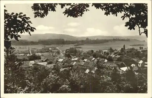 Neustadt Harz Panorama Kat. Neustadt Harz