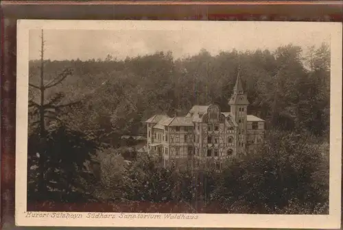 Suelzhayn Sanatorium Waldhaus Kat. Ellrich
