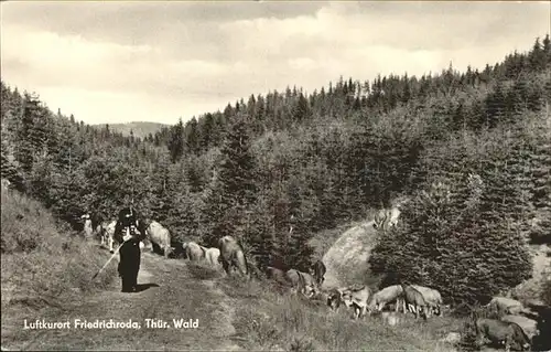 Friedrichroda Hirte mit Kuhherde im Th?ringerwald Kat. Friedrichroda