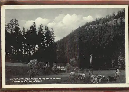 Finsterbergen Kuhherde u.Blick auf den Hainfelsen Kat. Finsterbergen