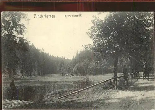 Finsterbergen Am Brandleiteteichmit Pferdekutsche Kat. Finsterbergen