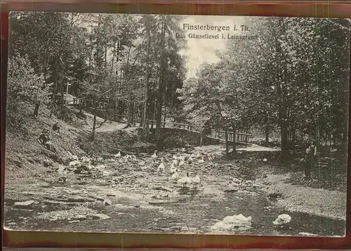Finsterbergen Das Gaenseliesel im Leinagrund Kat. Finsterbergen