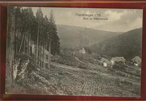 Finsterbergen Partie im Muehlengrund Kat. Finsterbergen