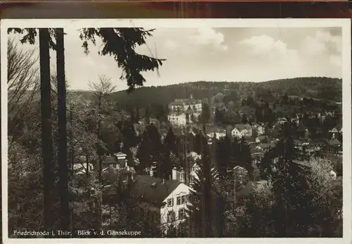 Friedrichroda Blick von der Gaensekuppe Kat. Friedrichroda