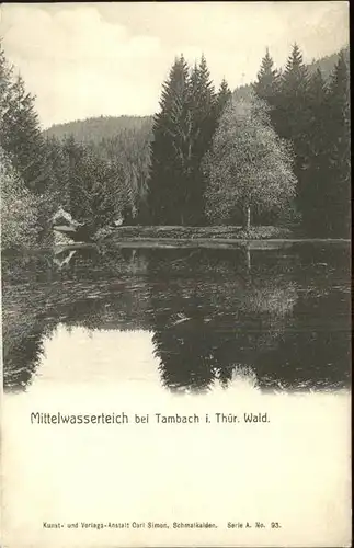 Tambach-Dietharz Mittelwasserteich / Tambach-Dietharz /Gotha LKR
