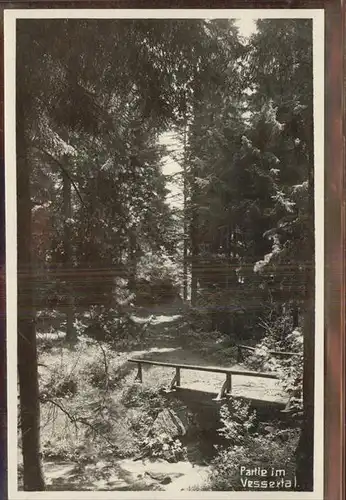 Vesser Rennsteig Vessertal Kat. Schmiedefeld Rennsteig