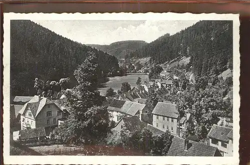 Stutzhaus Sommerfrische Kat. Luisenthal Thueringen