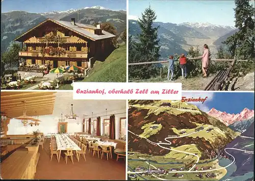 Zell Ziller Tirol Alpengasthof Enzianhof Kat. Zell am Ziller