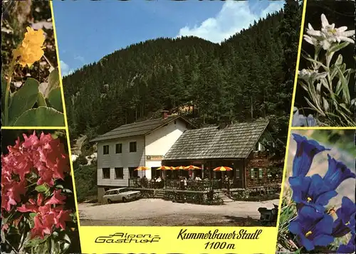 Trattenbach Alpengasthof Kummerbauer Stadl Edelweiss Enzian Alpenblumen