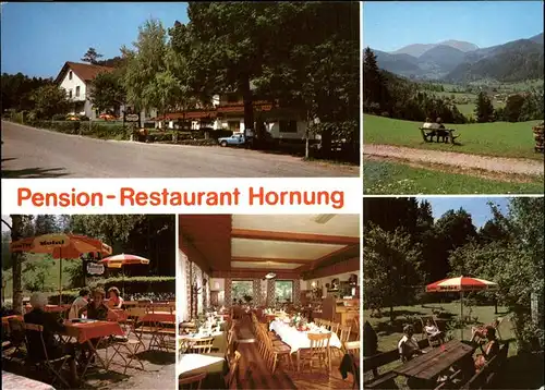 Miesenbach Niederoesterreich Pension Restaurant Hornung Schneeberggebiet Kat. Miesenbach