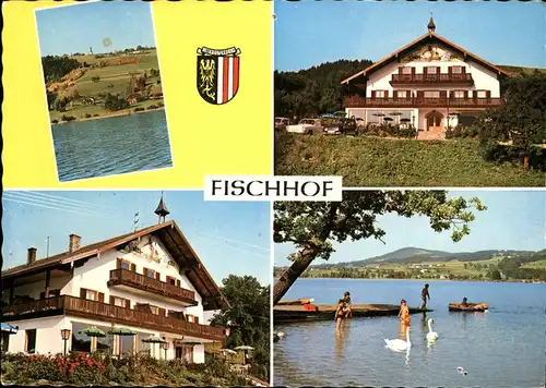 Oberhofen Irrsee Gasthof Pension Fischhof Badestrand Schwan Wappen Kat. Oberhofen am Irrsee