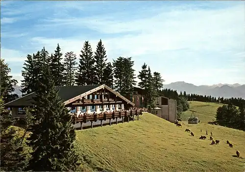 Bregenz Vorarlberg Berghaus Pfaender Viehweide Kuh Kabinenbahn Kat. Bregenz