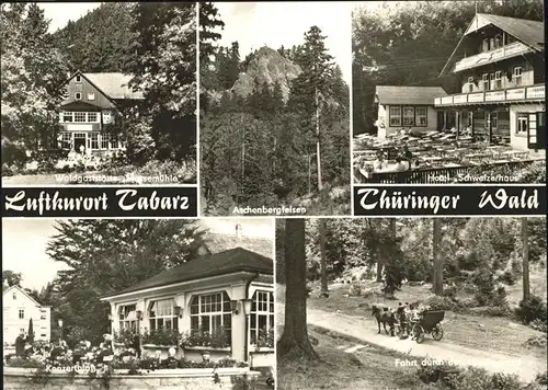 Tabarz Waldgaststaette Massemuehle Aschenbergfelsen Hotel Schweizerhaus Konzertplatz Pferdekutsche Kat. Tabarz Thueringer Wald