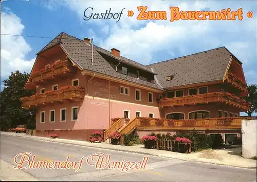 Wenigzell Gasthaus "Zum Bauernwirt" Kat. Wenigzell