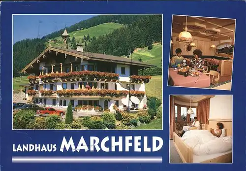 Oberau Tirol Landhaus Marchfeld Kat. Wildschoenau