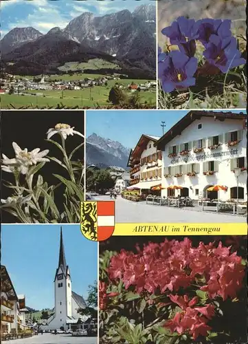 Abtenau Panorama Lammertal Alpenblumen Enzian Edelweiss Alpenrose Kirche Gasthof Wappen Kat. Abtenau