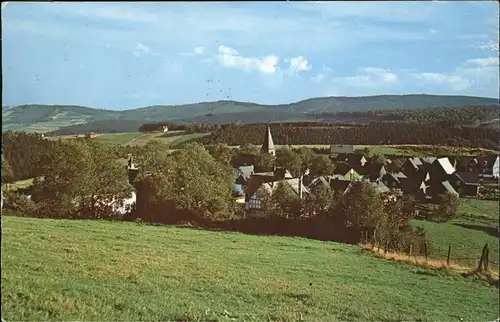 Neuastenberg Panorama Kat. Winterberg