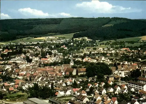 Michelstadt Panorama  Kat. Michelstadt