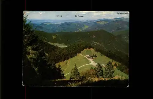Untermuenstertal Panorama mit Kaelblescheuer Kat. Muenstertal