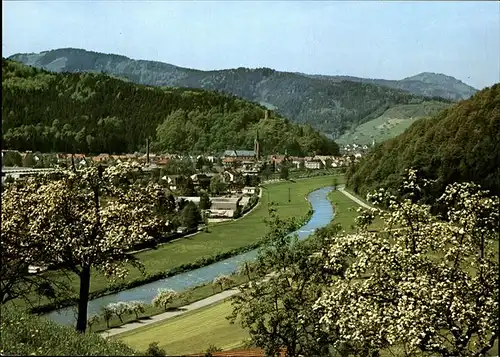 Hausach Panorama   Kat. Hausach