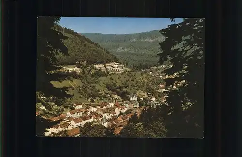 Wildbad Schwarzwald Panorama   Kat. Bad Wildbad