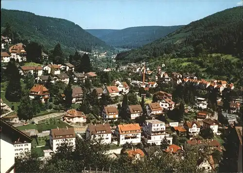 Wildbad Schwarzwald Panorama   Kat. Bad Wildbad