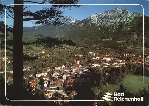 Bad Reichenhall mit Zwiesel und Hochstaufen Kat. Bad Reichenhall