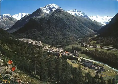 Pontresina mit Piz Palue und Sellagruppe Kat. Pontresina