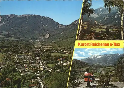 Reichenau Rax Panorama mit Teilansichten Kat. Reichenau an der Rax