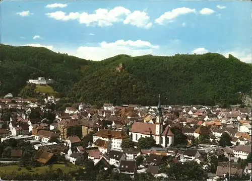 Waldkirch Breisgau Stadtblick Kat. Waldkirch