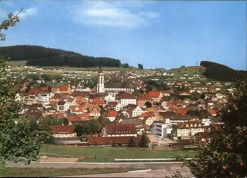 Titisee Neustadt Panorama  Kat. Titisee Neustadt