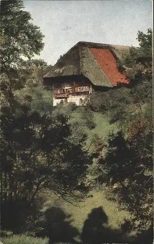 Schwarzwaldhaeuser Kuenstlerkarte Nr. 4250 Kat. Gebaeude und Architektur