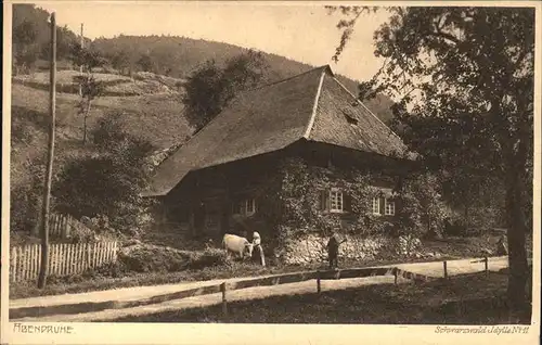 Schwarzwaldhaeuser Idylle Nr. 11 Abendruhe Kat. Gebaeude und Architektur