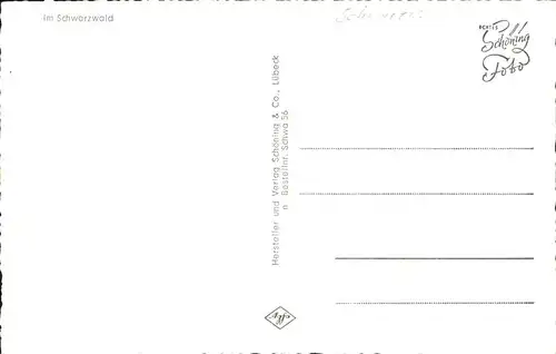 Schwarzwaldhaeuser Verlag Schoening Kat. Gebaeude und Architektur