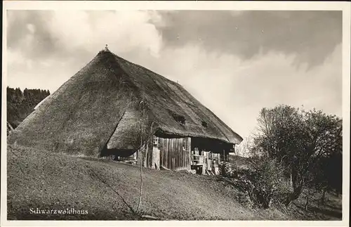 Schwarzwaldhaeuser  Kat. Gebaeude und Architektur