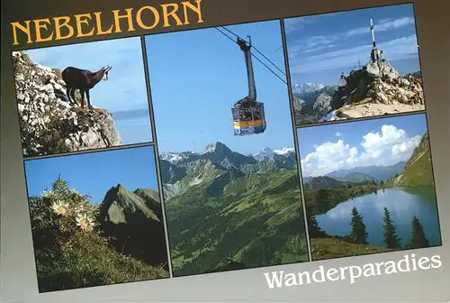 Seilbahn Nebelhorn Steinbock Oberstdorf Allgaeuer Alpen / Bahnen /