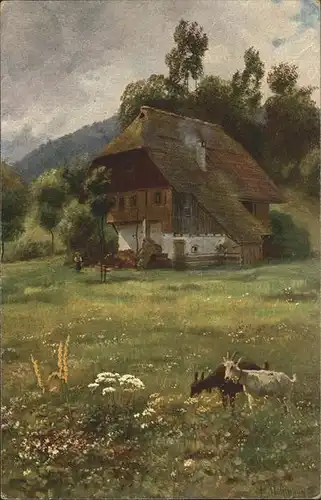 Hoffmann Heinrich Nr. 192 Schwarzwaldhaus Ziegen Kat. Kuenstlerkarte