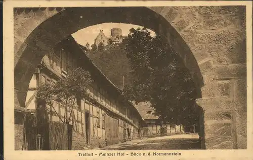 Treffurt Werra Mainzerhof u.Blick auf Burg Normannstein Kat. Treffurt