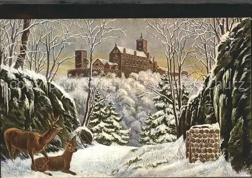 Eisenach Thueringen Wartburg Rehe im Schnee Kat. Eisenach