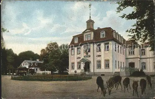 Eisenach Thueringen Gasthaus Hohe Sonne Rehe Kat. Eisenach