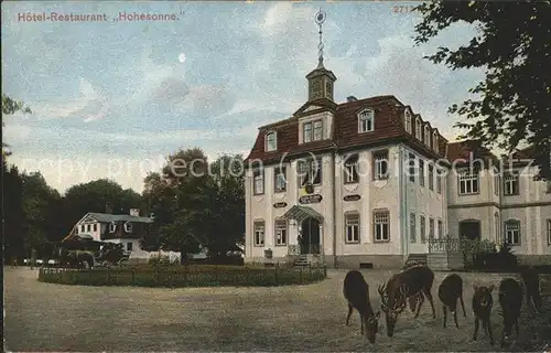 Eisenach Thueringen Hotel Hohesonne Rehe Kat. Eisenach