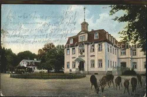 Eisenach Thueringen Hotel Hohe Sonne Rehe Kat. Eisenach