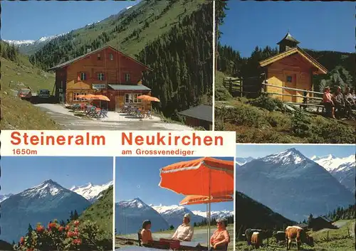 Neukirchen Grossvenediger Steineralm Kapelle Viehweide Kuh Alpenpanorama Hohe Tauern Kat. Neukirchen am Grossvenediger